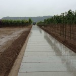 Fertiger Betonstraße Baumschule | De Keij Betonplaten aus Dodewaard